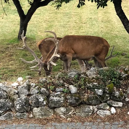 Prázdninový dům Daniela