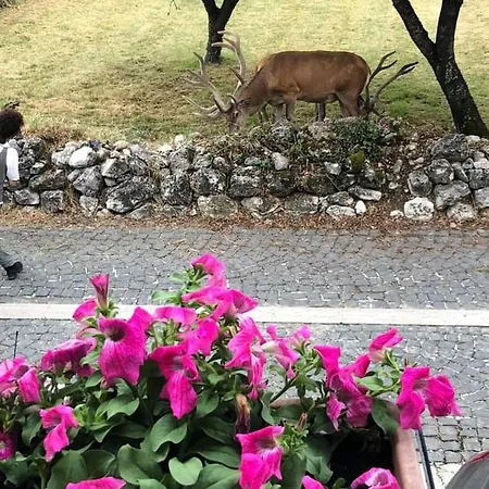 Daniela Casa vacanze