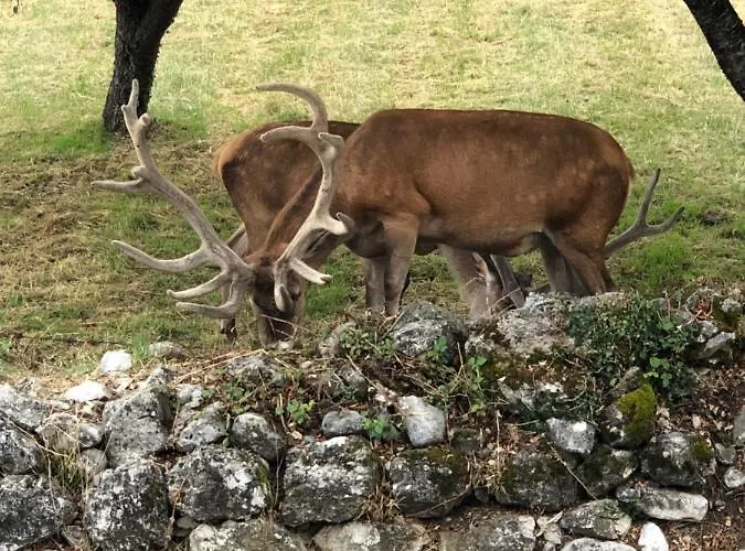 Casa vacanze Daniela