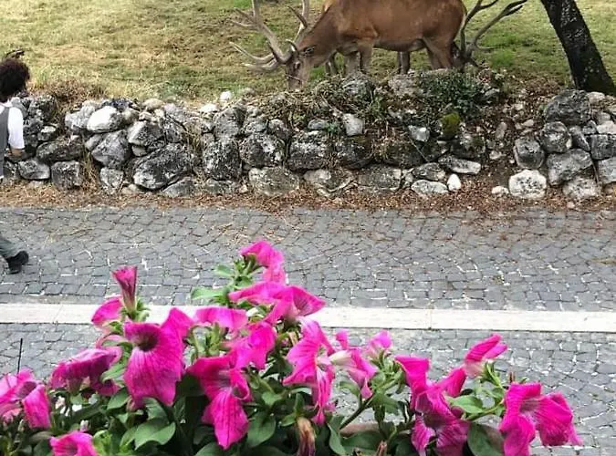 Daniela Casa vacanze